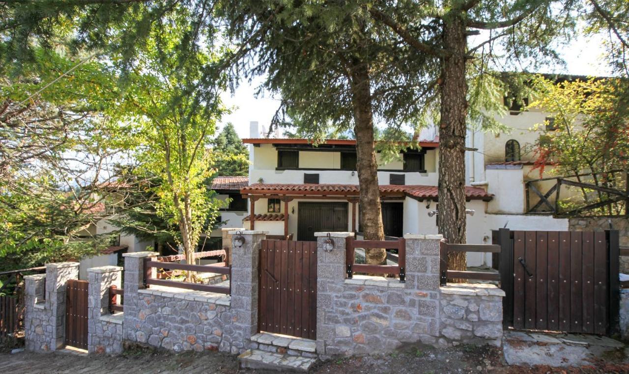 Dandy Villas Agoriani - Chalet Ivoni - Fireplace Eptálofos Exterior foto